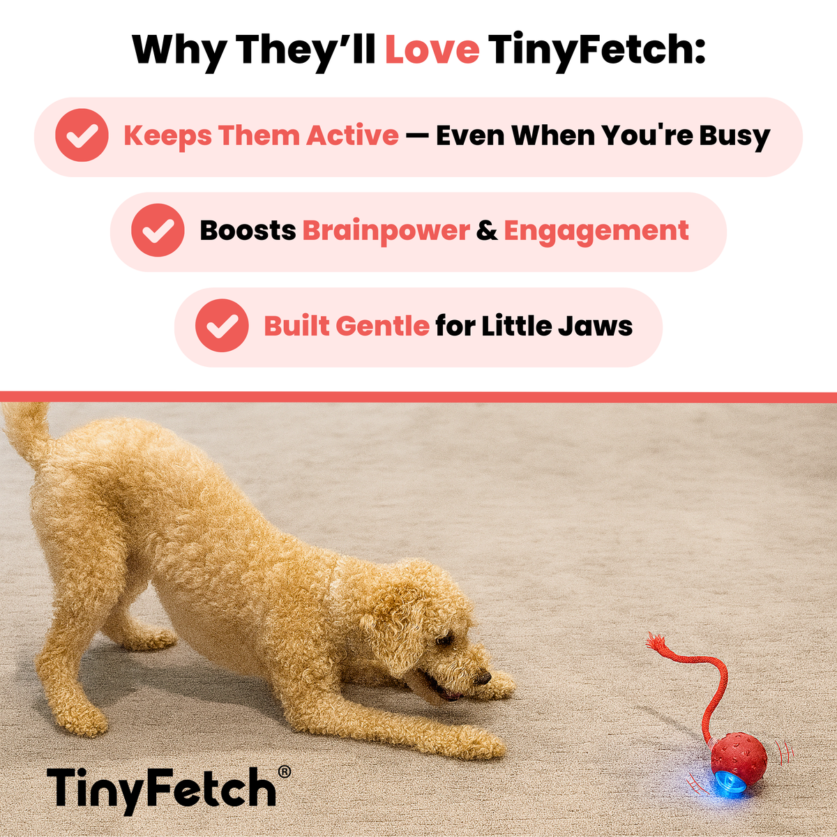 TinyFetch