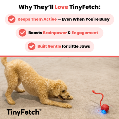 TinyFetch